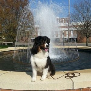 Meet your Posher, Chris